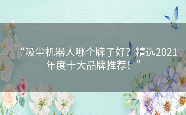 “吸尘机器人哪个牌子好？精选2021年度十大品牌推荐！”