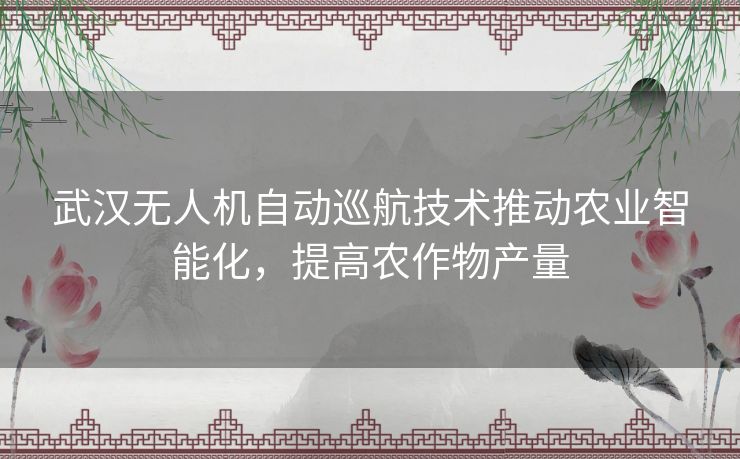 武汉无人机自动巡航技术推动农业智能化，提高农作物产量