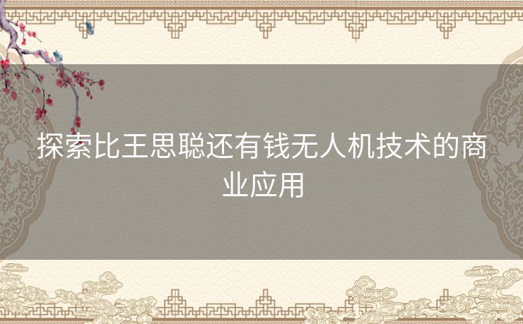 探索比王思聪还有钱无人机技术的商业应用