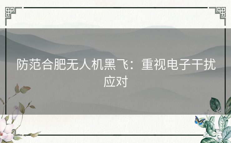 防范合肥无人机黑飞：重视电子干扰应对
