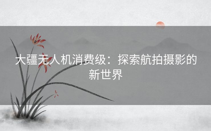 大疆无人机消费级：探索航拍摄影的新世界