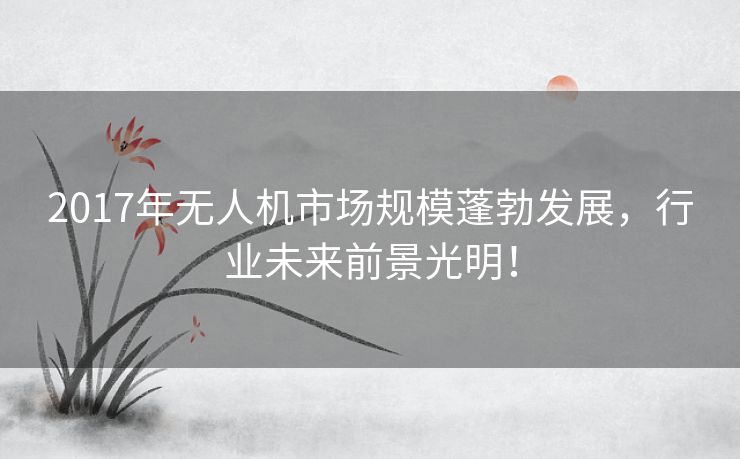 2017年无人机市场规模蓬勃发展，行业未来前景光明！