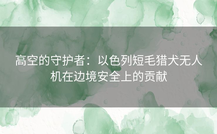 高空的守护者：以色列短毛猎犬无人机在边境安全上的贡献