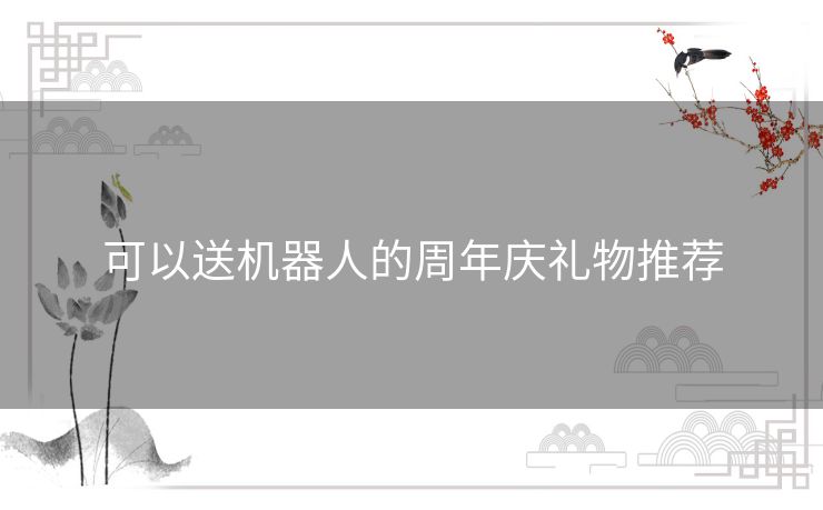 可以送机器人的周年庆礼物推荐