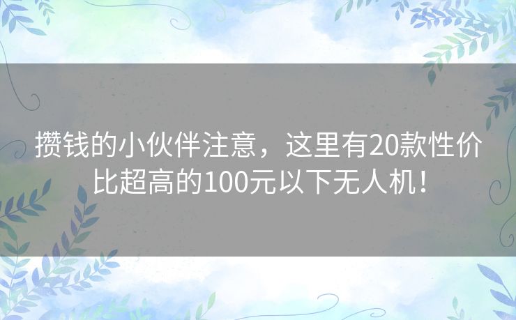 攒钱的小伙伴注意，这里有20款性价比超高的100元以下无人机！