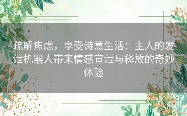 疏解焦虑，享受诗意生活：主人的发泄机器人带来情感宣泄与释放的奇妙体验