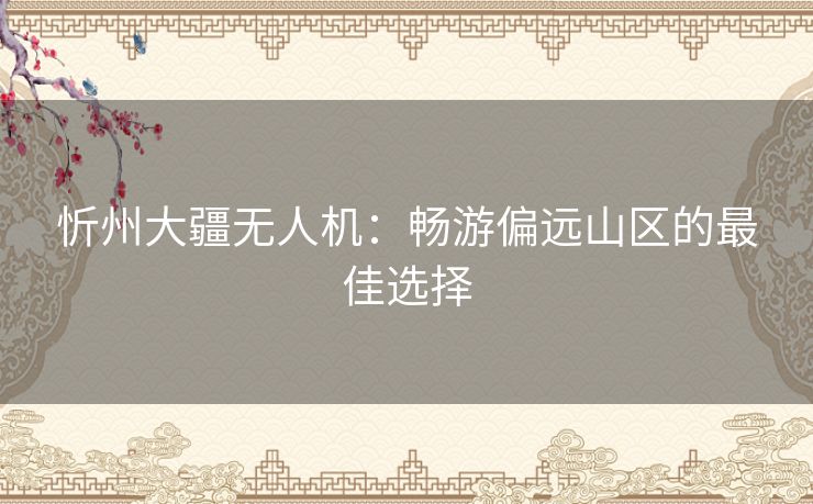 忻州大疆无人机：畅游偏远山区的最佳选择