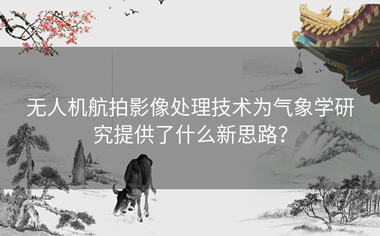 无人机航拍影像处理技术为气象学研究提供了什么新思路？