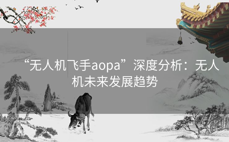 “无人机飞手aopa”深度分析：无人机未来发展趋势