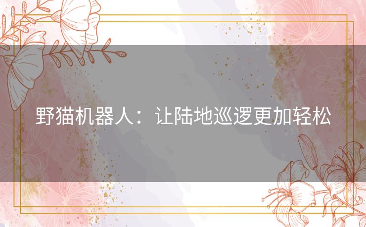 野猫机器人：让陆地巡逻更加轻松