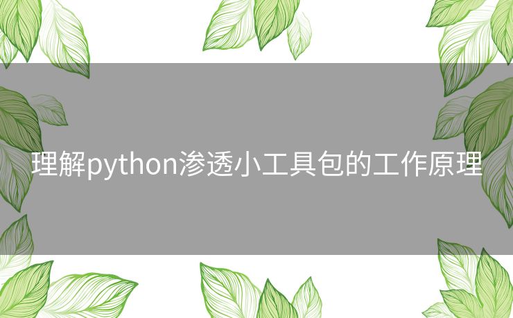 理解python渗透小工具包的工作原理