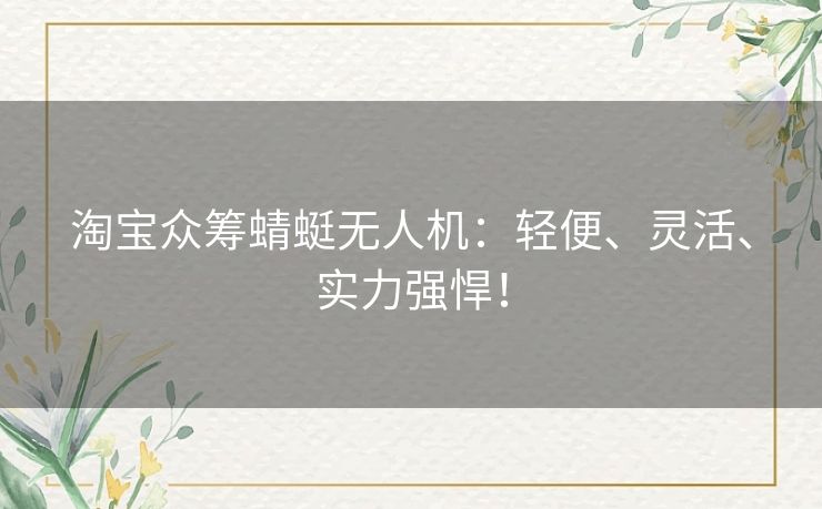 淘宝众筹蜻蜓无人机：轻便、灵活、实力强悍！
