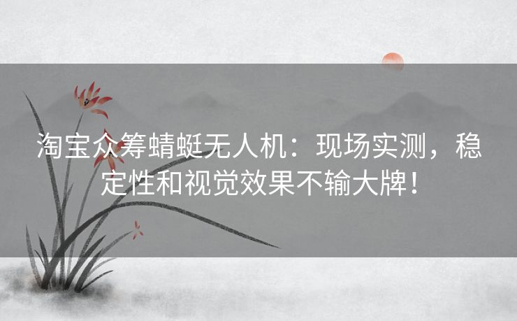 淘宝众筹蜻蜓无人机：现场实测，稳定性和视觉效果不输大牌！