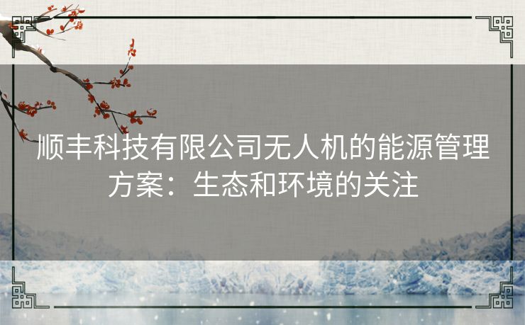 顺丰科技有限公司无人机的能源管理方案：生态和环境的关注