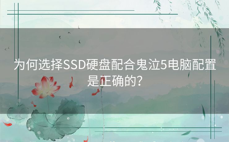为何选择SSD硬盘配合鬼泣5电脑配置是正确的？