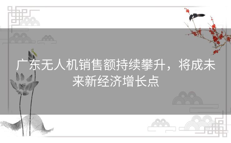 广东无人机销售额持续攀升，将成未来新经济增长点