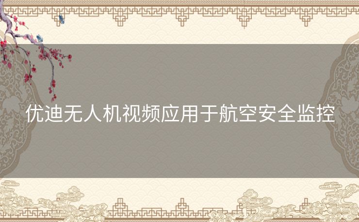 优迪无人机视频应用于航空安全监控
