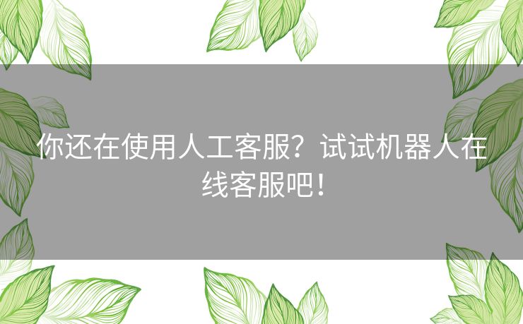 你还在使用人工客服？试试机器人在线客服吧！