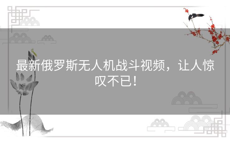 最新俄罗斯无人机战斗视频，让人惊叹不已！