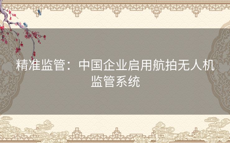 精准监管：中国企业启用航拍无人机监管系统