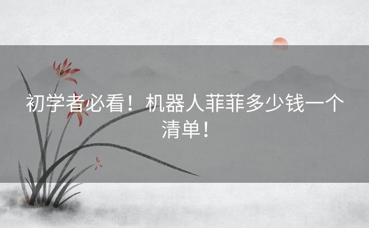 初学者必看！机器人菲菲多少钱一个清单！
