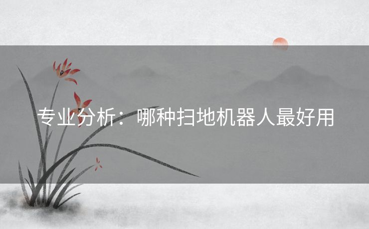 专业分析：哪种扫地机器人最好用