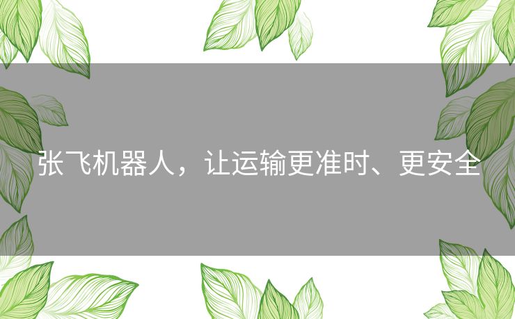 张飞机器人，让运输更准时、更安全