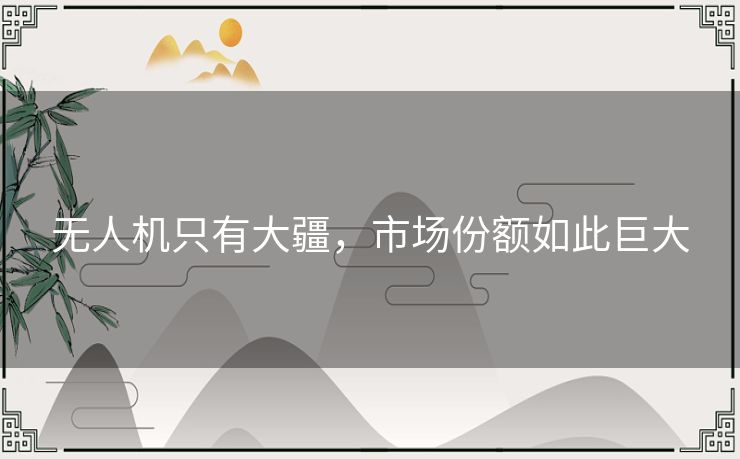 无人机只有大疆，市场份额如此巨大
