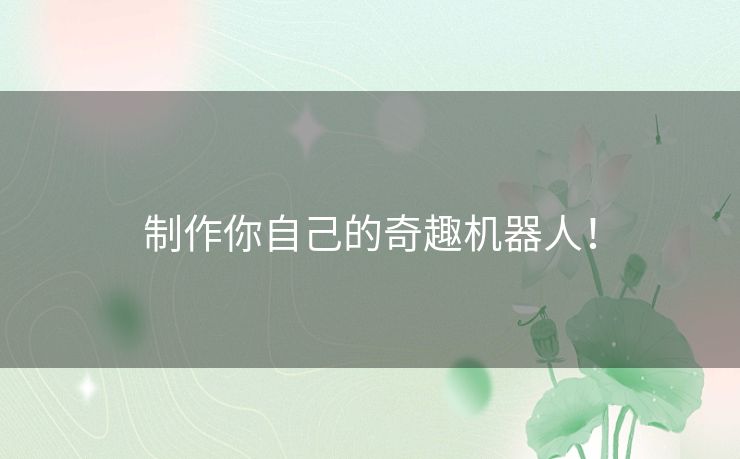 制作你自己的奇趣机器人！