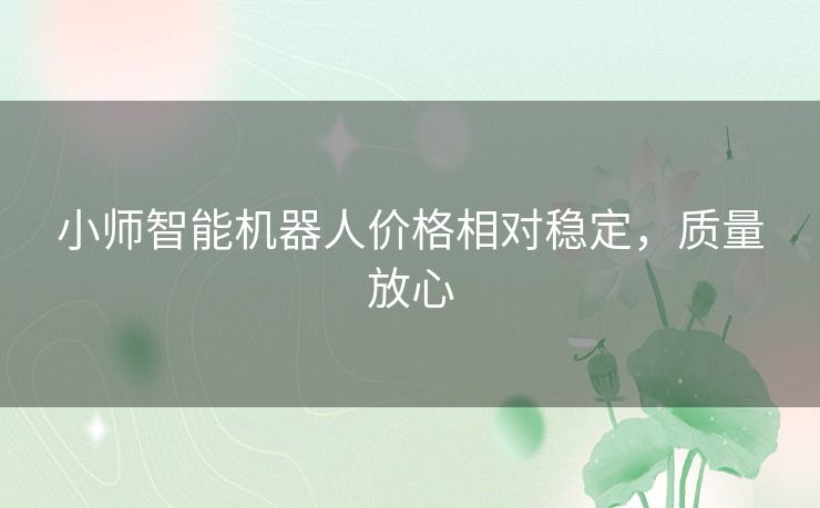 小师智能机器人价格相对稳定，质量放心