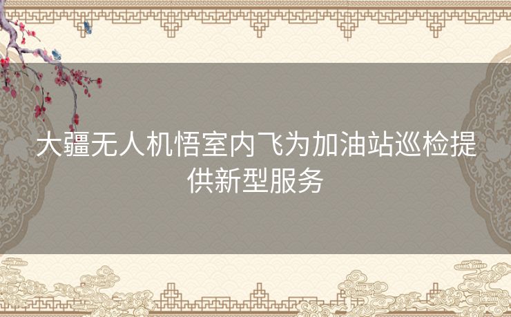 大疆无人机悟室内飞为加油站巡检提供新型服务