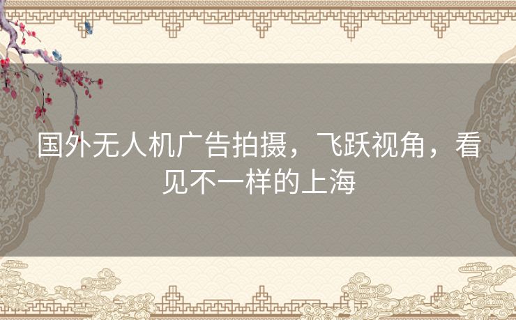 国外无人机广告拍摄，飞跃视角，看见不一样的上海