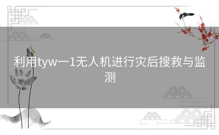 利用tyw一1无人机进行灾后搜救与监测