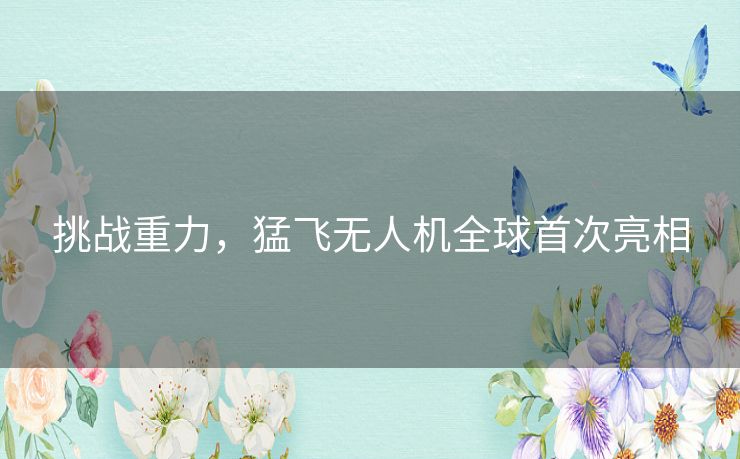 挑战重力，猛飞无人机全球首次亮相