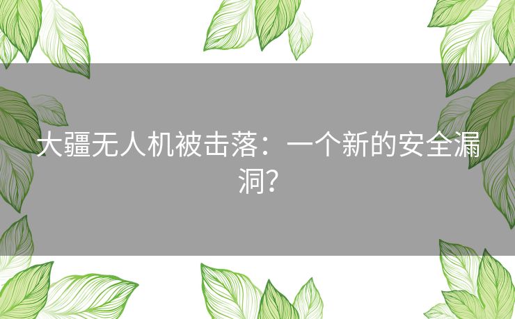 大疆无人机被击落：一个新的安全漏洞？