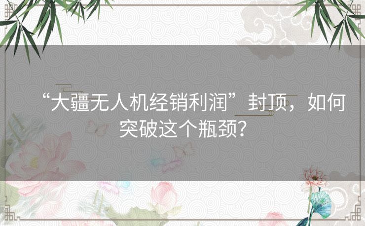 “大疆无人机经销利润”封顶，如何突破这个瓶颈？