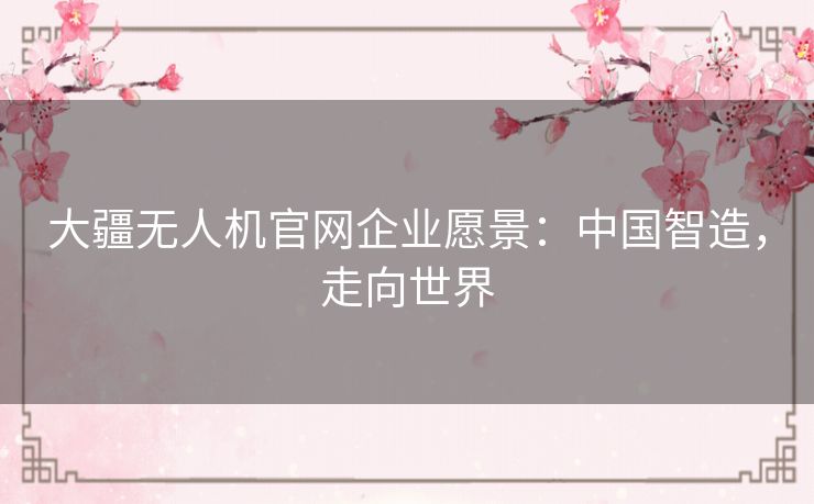 大疆无人机官网企业愿景：中国智造，走向世界