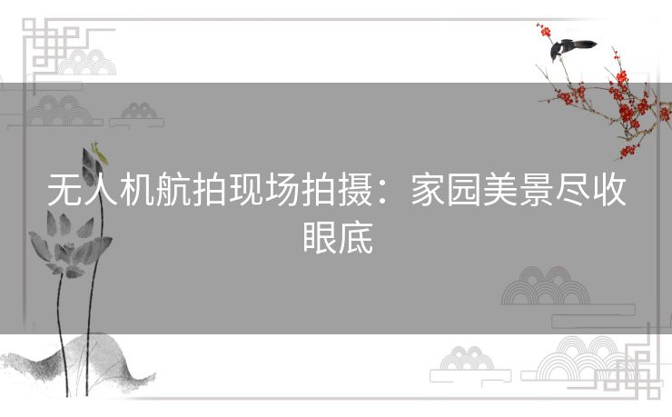 无人机航拍现场拍摄：家园美景尽收眼底