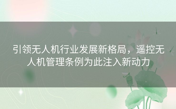 引领无人机行业发展新格局，遥控无人机管理条例为此注入新动力