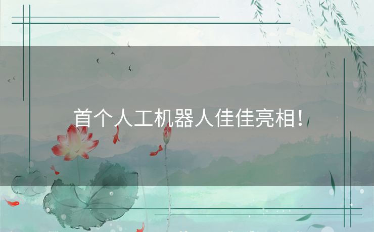首个人工机器人佳佳亮相！