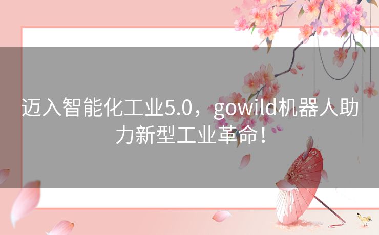 迈入智能化工业5.0，gowild机器人助力新型工业革命！