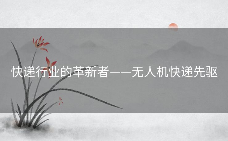 快递行业的革新者——无人机快递先驱