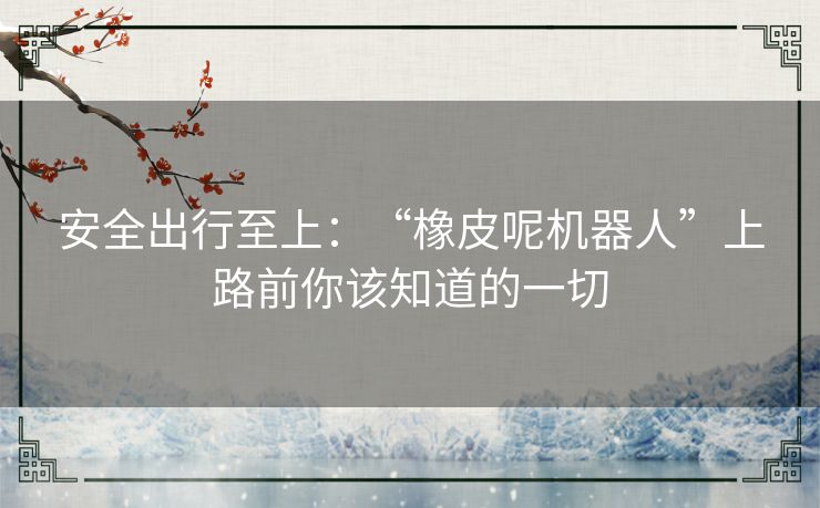 安全出行至上：“橡皮呢机器人”上路前你该知道的一切