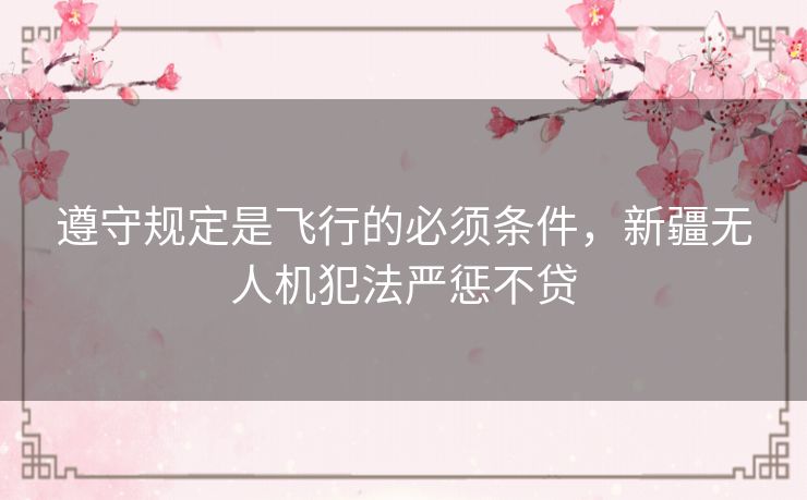 遵守规定是飞行的必须条件，新疆无人机犯法严惩不贷