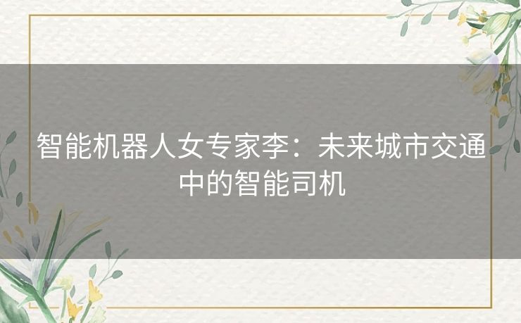 智能机器人女专家李：未来城市交通中的智能司机