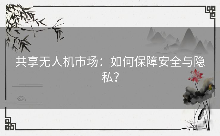 共享无人机市场：如何保障安全与隐私？