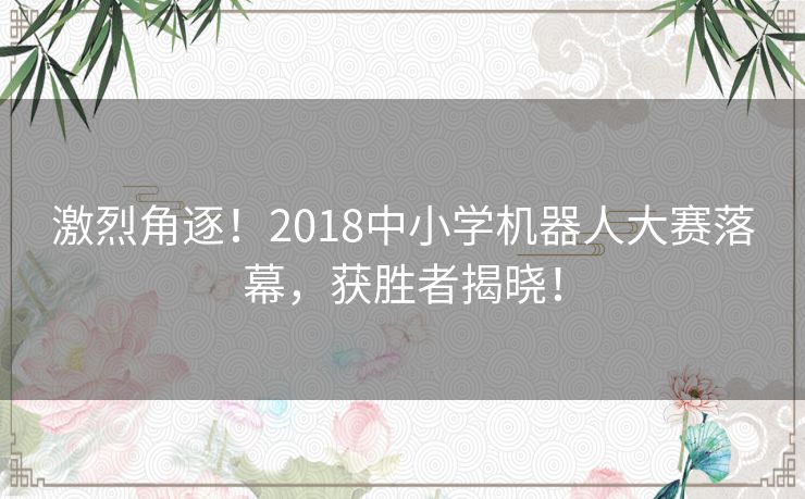 激烈角逐！2018中小学机器人大赛落幕，获胜者揭晓！