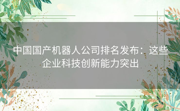 中国国产机器人公司排名发布：这些企业科技创新能力突出
