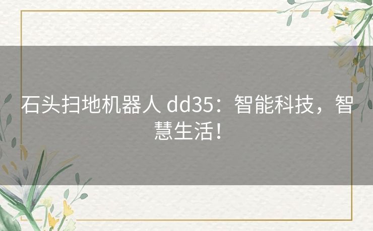 石头扫地机器人 dd35：智能科技，智慧生活！