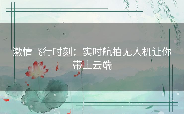 激情飞行时刻：实时航拍无人机让你带上云端